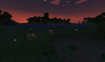 Firefly bushes in a Marsh 