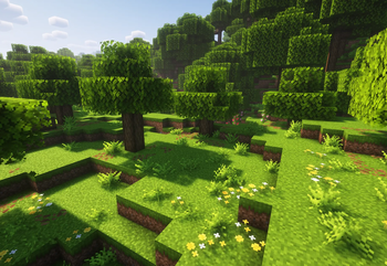 with shaders