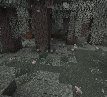 Pale Garden with leaf litters