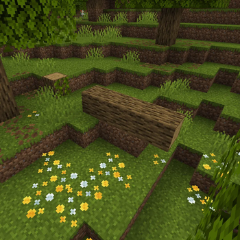 Woodland with several features