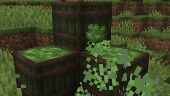 Spore Barrel