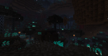 Fright Forest!
