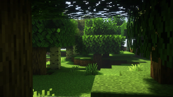 Revamped Skylight