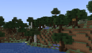 Chestnut Forest