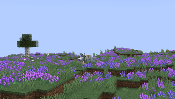 Lavender Fields