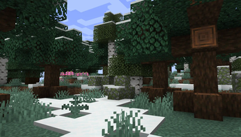 Snowy Chestnut Forest