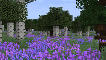 Lavender Hills