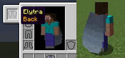 Curios Elytra