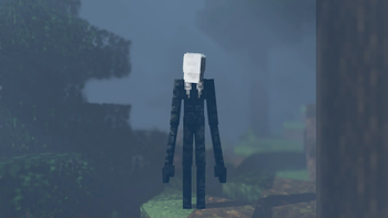 Don't Look Back