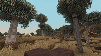 Litavis: The Outback