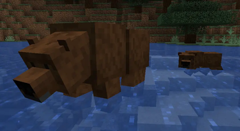 Gone Fishing