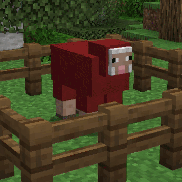 Rainbow jeb_ Sheep
