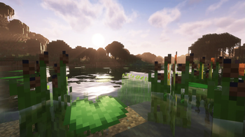 Swamp Reeds