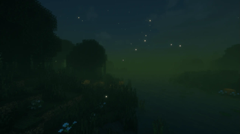 Fireflies at Night