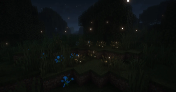Fireflies at Night