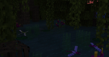 Dragonfly Reeds