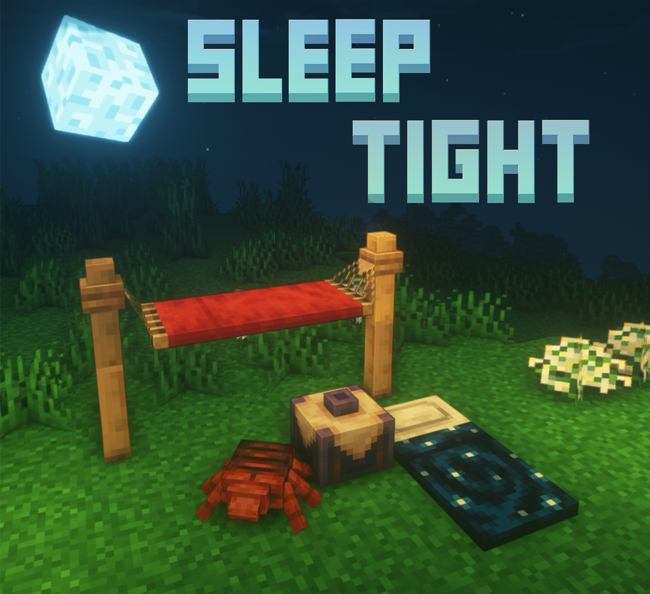 Sleep Tight