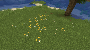 Wildflowers Support