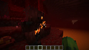 Burned in the Nether