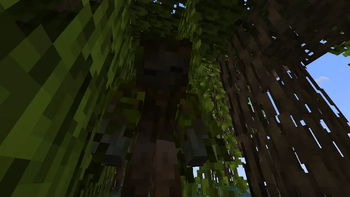 Swampy tangled up on a Mangrove Swamp