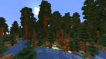 A river by a redwood forest