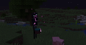 Shattered Enderman