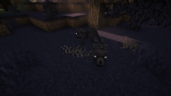 Black Wolves