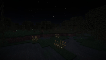 Fireflies!!!