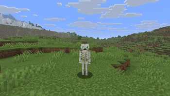 Cursed Amulet Skeleton