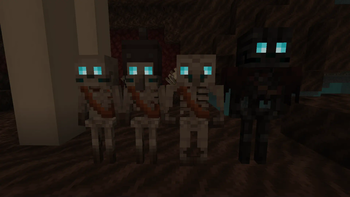 Soulsand Valley Skeletons