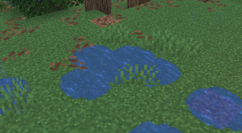 Large puddle