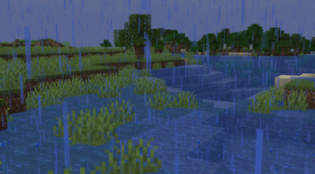 Flooded river