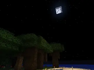 Night