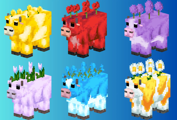 Mooblooms 
