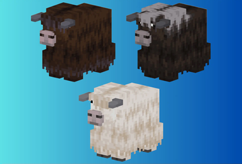Mountain Cows