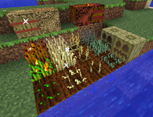 Ashenwheat Crops
